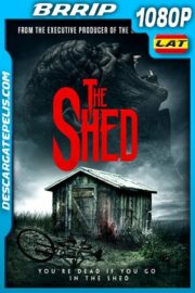 Sombras del terror (2019) 1080p BRrip Latino