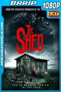 Sombras del terror (2019) 1080p BRrip Latino