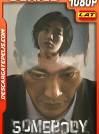 Somebody Temporada 1 (2022) 1080p WEB-DL Latino