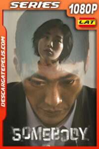 Somebody Temporada 1 (2022) 1080p WEB-DL Latino