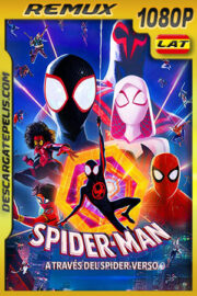 Spider-Man: A través del Spider-Verso (2023) 1080p Remux Latino