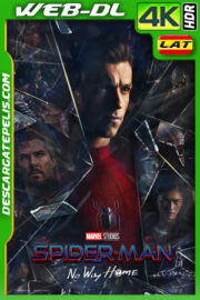 Spider-Man: Sin camino a casa (2021) Version Extendida 4k WEB-DL HDR Latino