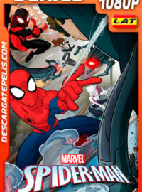 Spider-Man Temporada 2 (2018) 1080p WEB-DL Latino