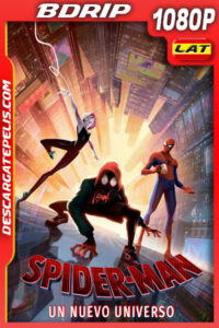 Spider-Man: Un nuevo universo (2018) 1080p BDrip Latino