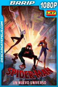 Spider-Man: Un nuevo universo (2018) 1080p BRrip Latino