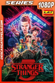 Stranger Things Temporada 3 (2019) 1080p WEB-DL Latino