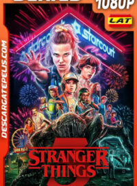 Stranger Things Temporada 3 (2019) 1080p WEB-DL Latino