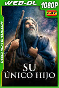 Su único hijo (2023) 1080p WEB-DL Latino