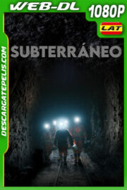 Subterráneo (2020) 1080p WEB-DL Latino