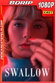Swallow (2019) 1080p BDRip