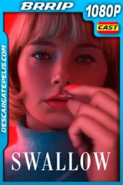 Swallow (2019) 1080p BRRip