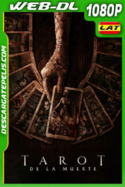Tarot de la muerte (2024) 1080p WEB-DL Latino