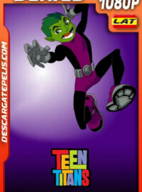 Teen Titans Temporada 2 (2004) 1080p WEB-DL Latino