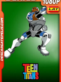 Teen Titans Temporada 3 (2004) 1080p WEB-DL Latino