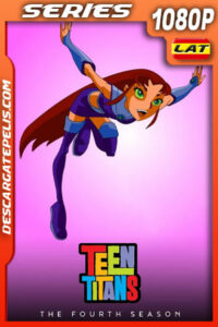 Teen Titans Temporada 4 (2005) 1080p WEB-DL Latino