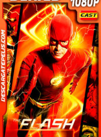 The Flash Temporada 7 (2021) 1080p WEB-DL AMZN