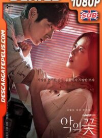 The Flower of Evil (2020) Temporada 1 1080p WEB-DL Coreano