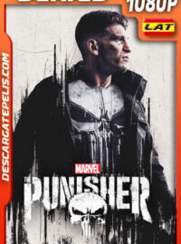 The Punisher Temporada 1 (2017) 1080p WEB-DL Latino