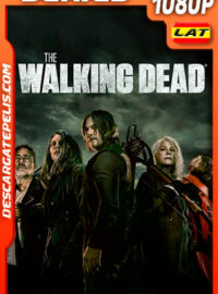 The Walking Dead Temporada 11 (2021) 1080p WEB-DL Latino