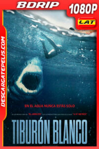 Tiburón blanco (2021) 1080p BDrip Latino