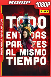 Todo en todas partes al mismo tiempo (2022) 1080p BDRip Latino
