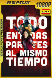 Todo en todas partes al mismo tiempo (2022) 1080p Remux Latino