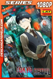 Tokyo Ghoul (2014) Temporada 1 1080p WEB-DL Latino