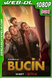 Tontos de amor (2020) 1080p WEB-DL