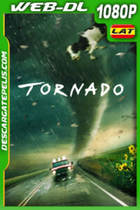 Tornado (1996) 1080p WEB-DL Latino