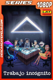 Trabajo incógnito Temporada 2 (2022) 1080p WEB-DL Latino