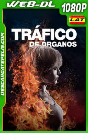 Tráfico de Órganos (2021) 1080p WEB-DL Latino