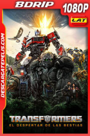 Transformers: El despertar de las bestias (2023) 1080p BDRip Latino