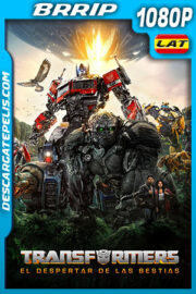 Transformers: El despertar de las bestias (2023) 1080p BRRip Latino