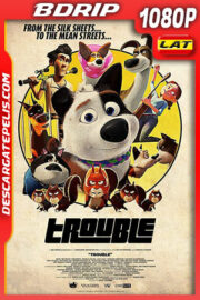 Travieso de la mansión a la calle (2019) 1080p BDRip Latino