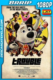 Travieso de la mansión a la calle (2019) 1080p BRRip Latino