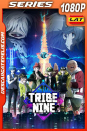 Tribu Nueve Temporada 1 (2022) 1080p WEB-DL Latino