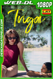 Trigal (2022) 1080p WEB-DL Latino