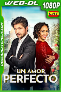 Un Amor Perfecto (2021) 1080p WEB-DL Latino
