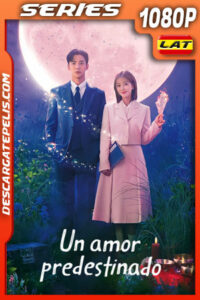 Un amor predestinado Temporada 1 (2023) 1080p WEB-DL Latino