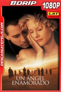 Un ángel enamorado (1998) 1080p BDrip Latino – Ingles