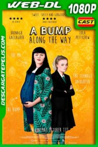 Un bombo en el camino (2019) 1080p WEB-DL Castellano