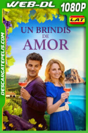 Un brindis de amor (2024) 1080p WEB-DL Latino