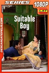 Un buen partido (2020) Temporada 1 1080p WEB-DL Latino