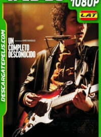 Un completo desconocido (2024) 1080p WEB-DL Latino
