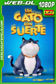 Un gato con suerte (2024) 1080p WEB-DL Latino