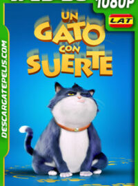 Un gato con suerte (2024) 1080p WEB-DL Latino