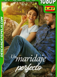 Un maridaje perfecto (2022) 1080p WEB-DL Latino