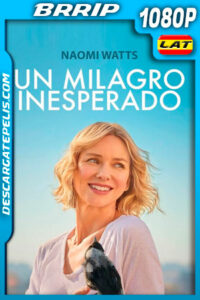 Un milagro inesperado (2020) 1080p BRRip Latino