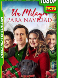 Un milagro para Navidad (2020) 1080p WEB-DL Latino