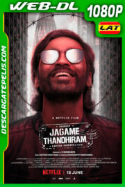 Un mundo complicado (2021) 1080p WEB-DL Latino